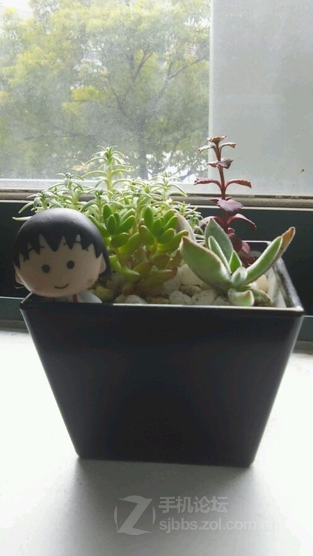 HTC_Desire_816_һӦ÷